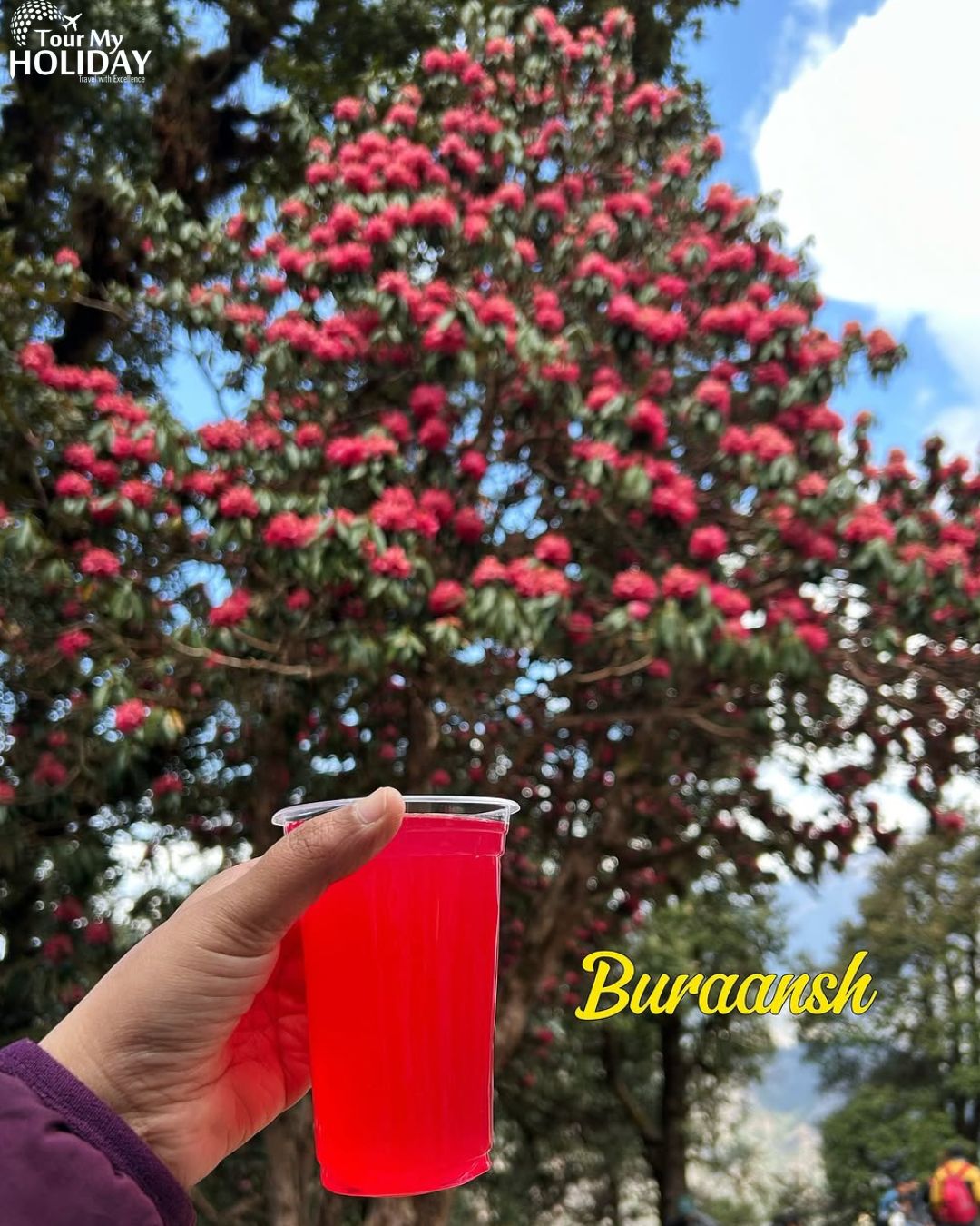 Unwind in Nature Best Chopta Tour Package for Nature Lovers